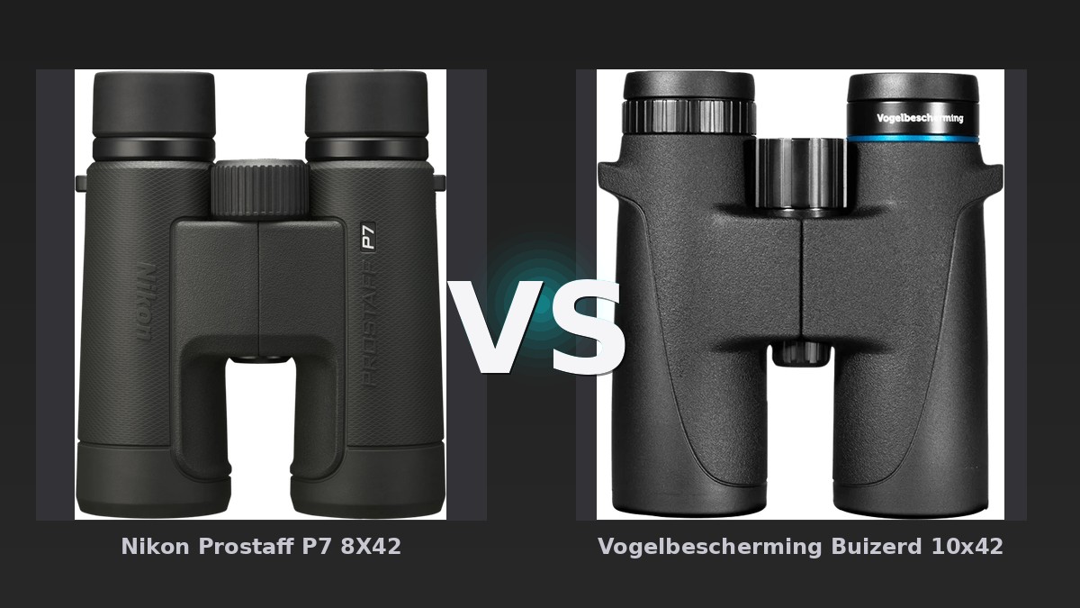 Vergleich: Nikon Prostaff P7 8X42 vs Vogelbescherming Buizerd 10x42 - Nikon Prostaff P7 vs Vogelbescherming Buizerd 10x42: Der KI-Audit